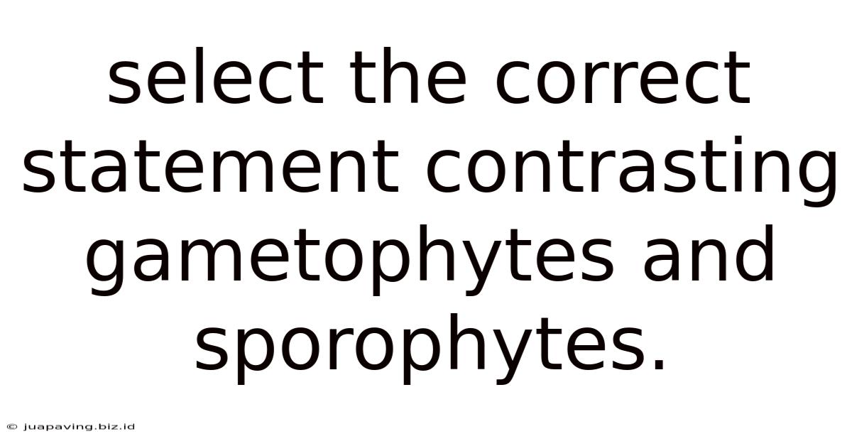 Select The Correct Statement Contrasting Gametophytes And Sporophytes.