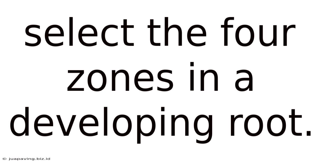 Select The Four Zones In A Developing Root.