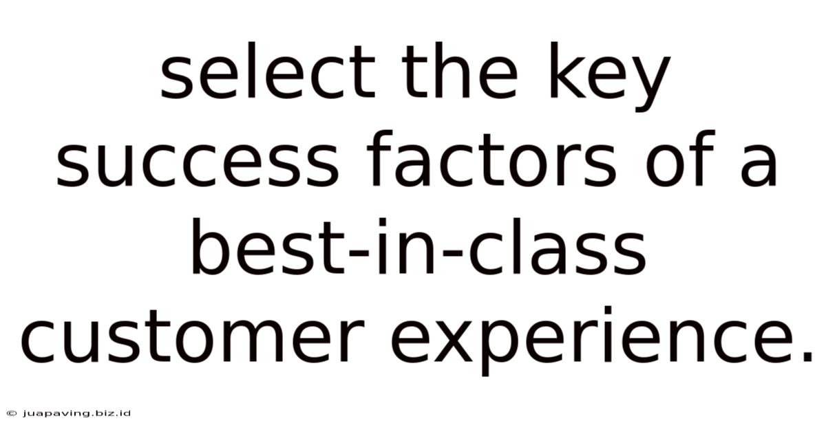 Select The Key Success Factors Of A Best-in-class Customer Experience.