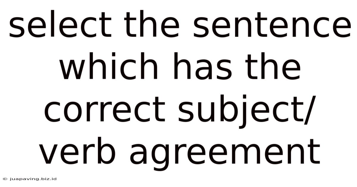 Select The Sentence Which Has The Correct Subject/verb Agreement