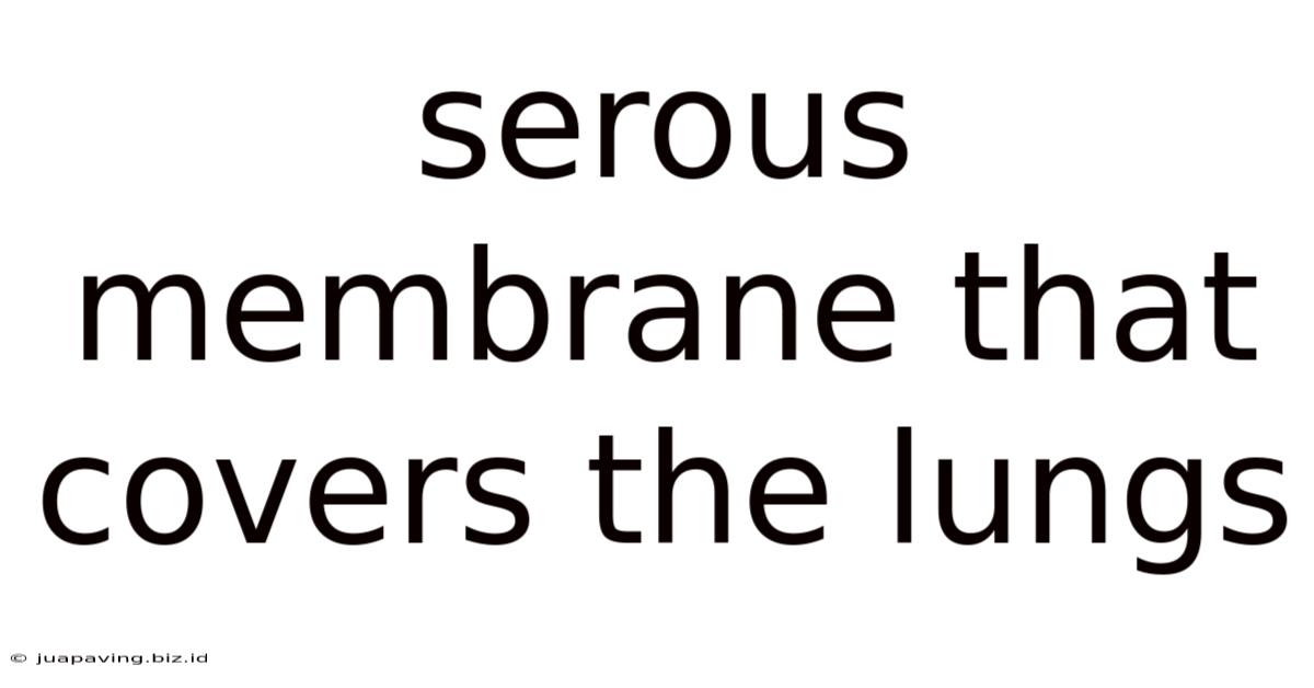 Serous Membrane That Covers The Lungs