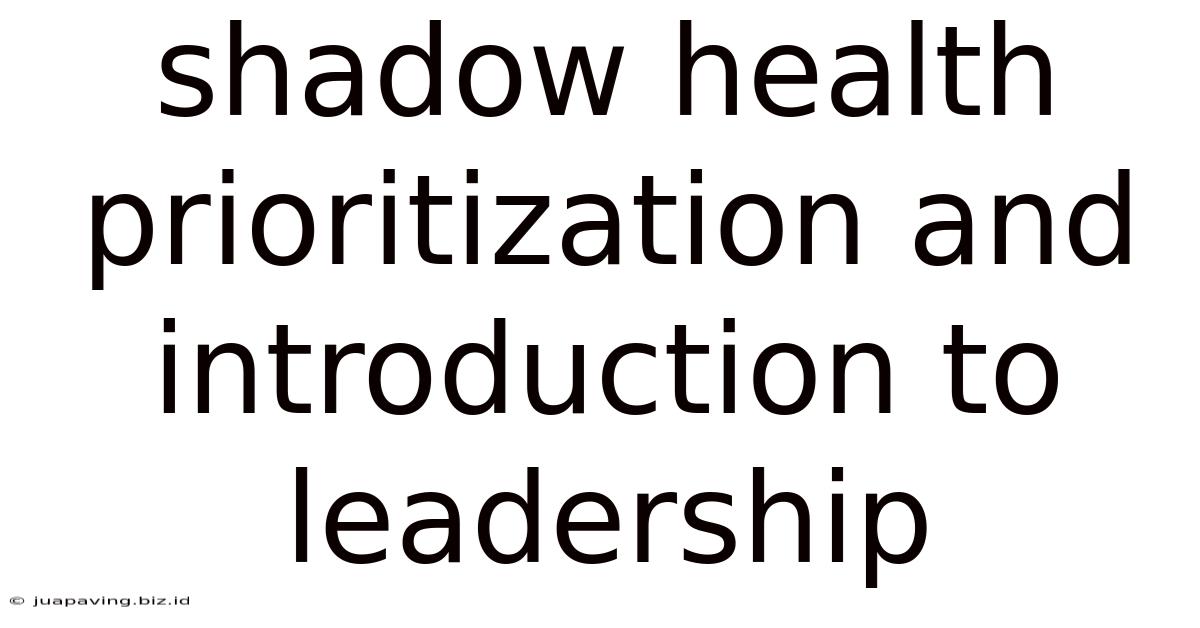 Shadow Health Prioritization And Introduction To Leadership