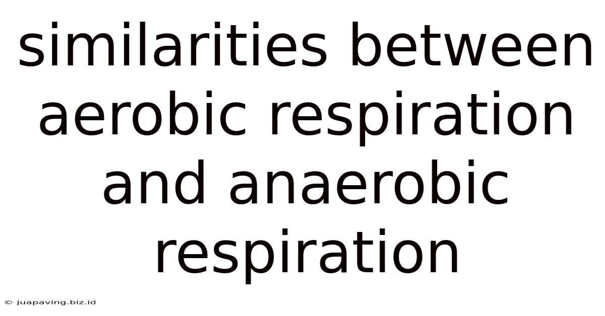 Similarities Between Aerobic Respiration And Anaerobic Respiration