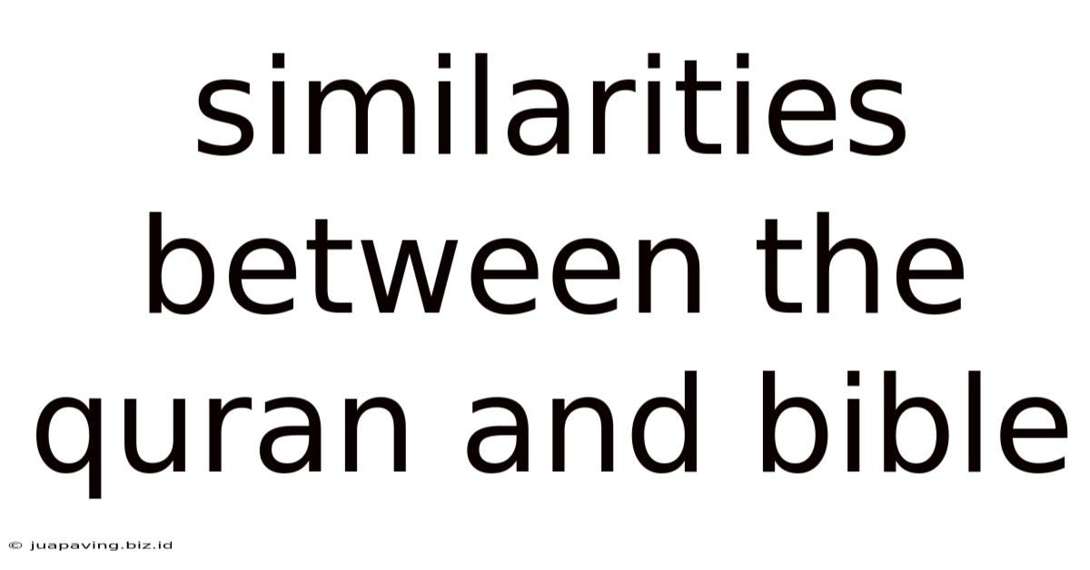 Similarities Between The Quran And Bible