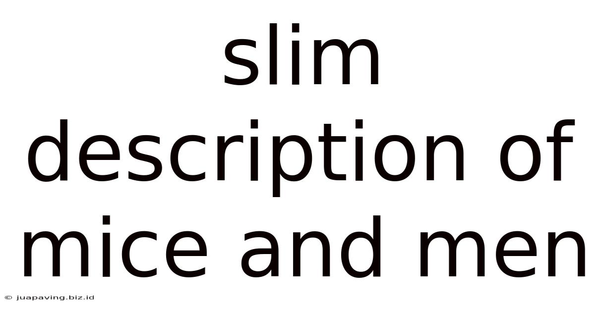 Slim Description Of Mice And Men