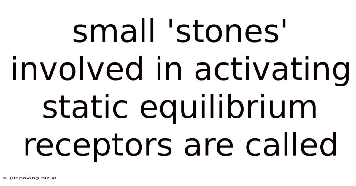 Small 'stones' Involved In Activating Static Equilibrium Receptors Are Called