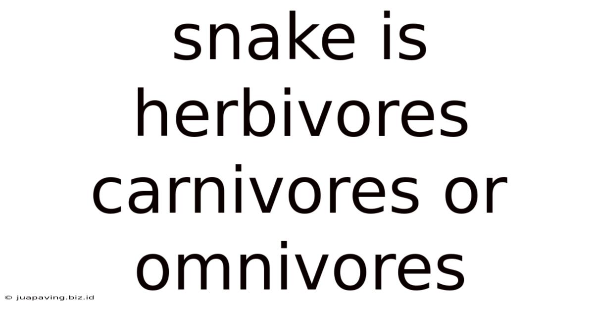 Snake Is Herbivores Carnivores Or Omnivores