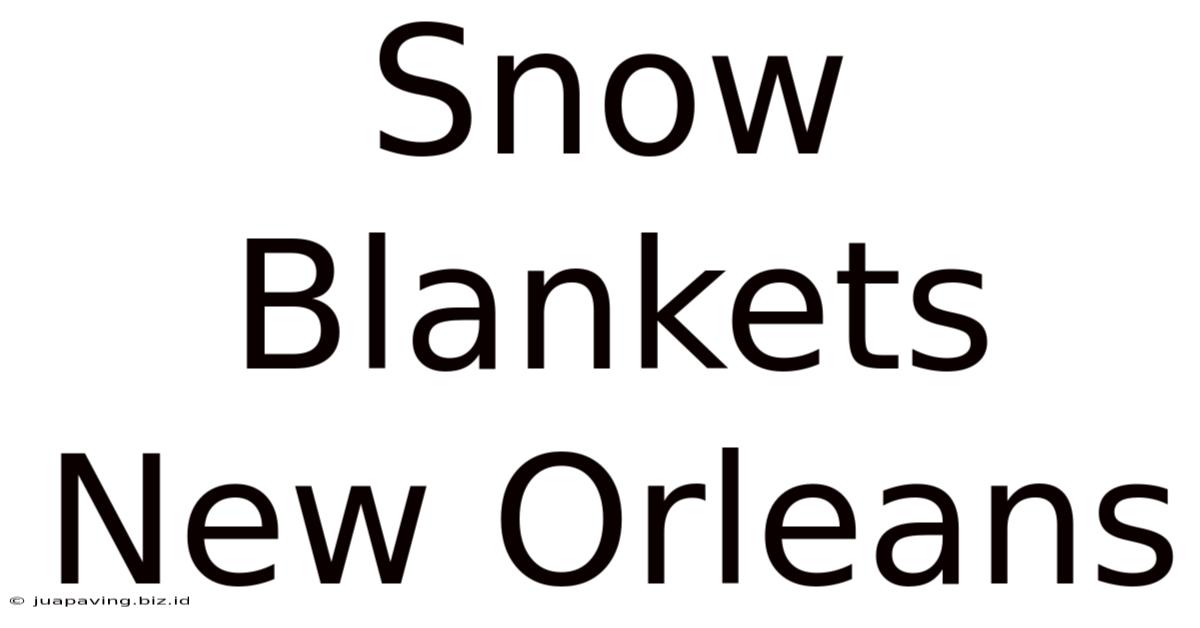 Snow Blankets New Orleans