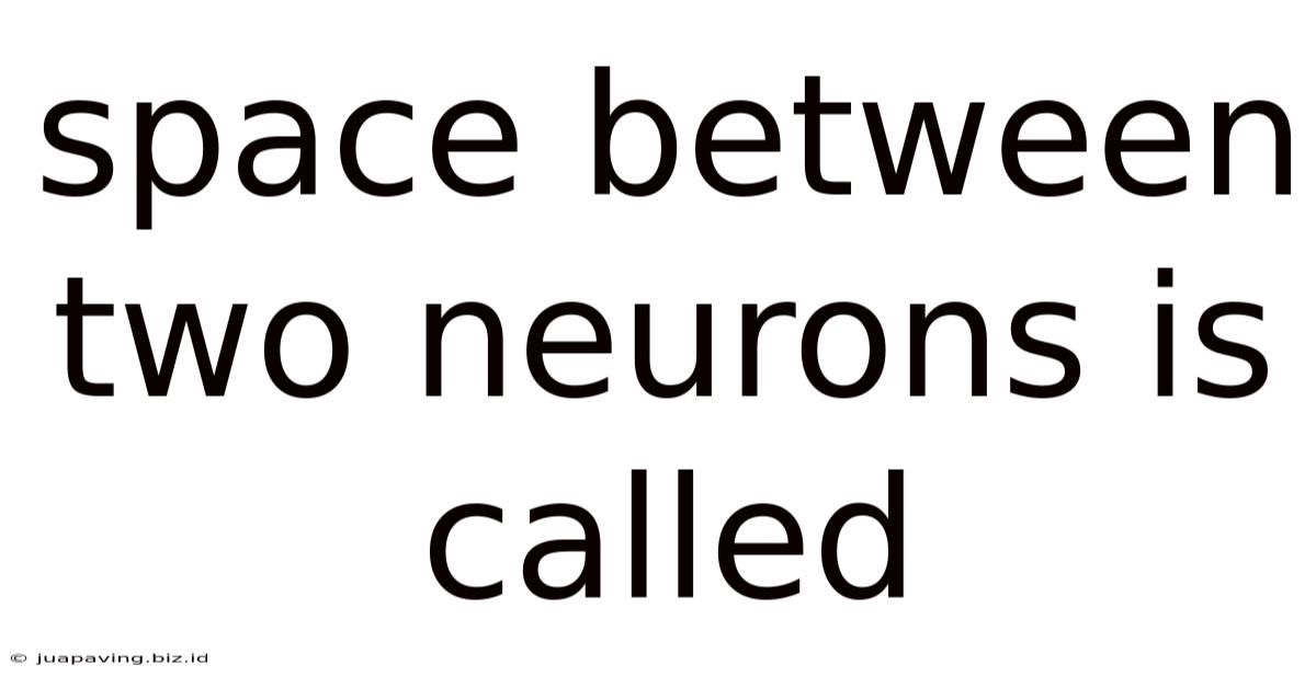 Space Between Two Neurons Is Called