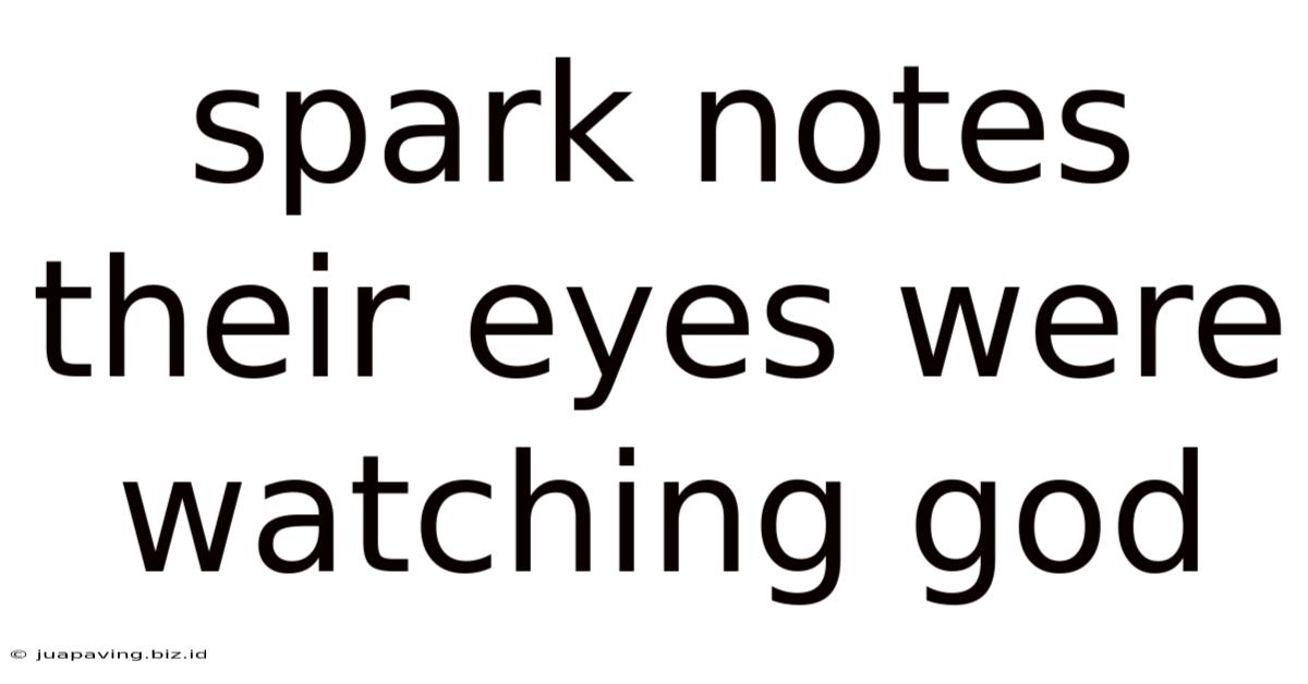 Spark Notes Their Eyes Were Watching God