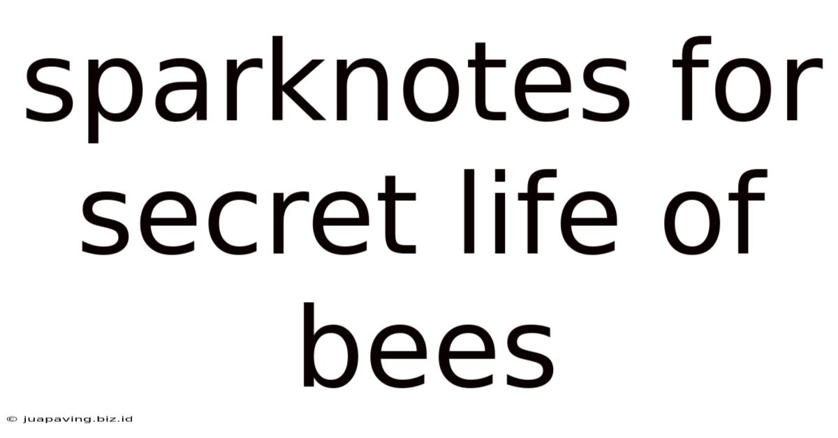 Sparknotes For Secret Life Of Bees