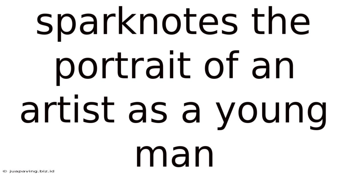 Sparknotes The Portrait Of An Artist As A Young Man