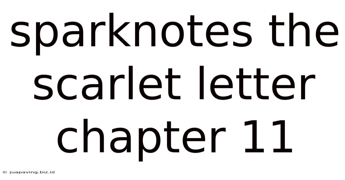 Sparknotes The Scarlet Letter Chapter 11
