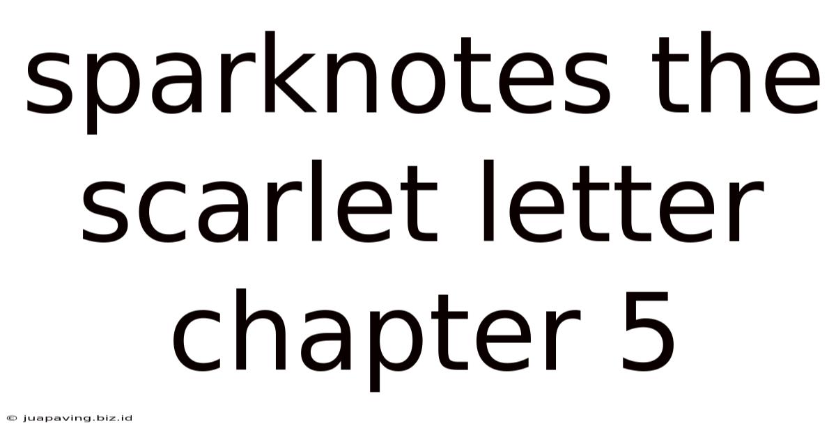 Sparknotes The Scarlet Letter Chapter 5