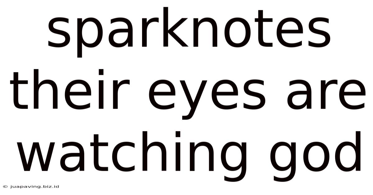 Sparknotes Their Eyes Are Watching God