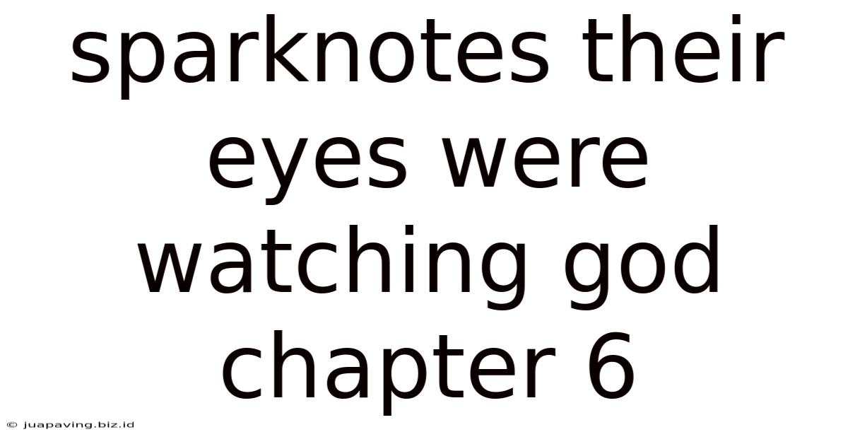 Sparknotes Their Eyes Were Watching God Chapter 6