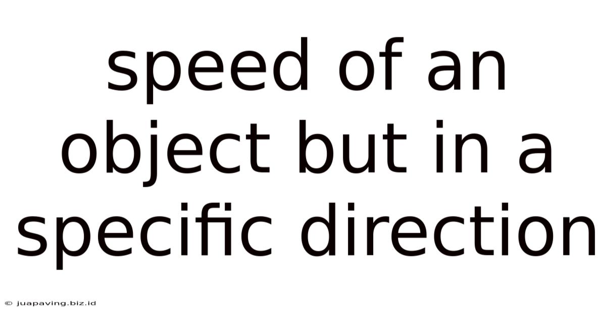 Speed Of An Object But In A Specific Direction