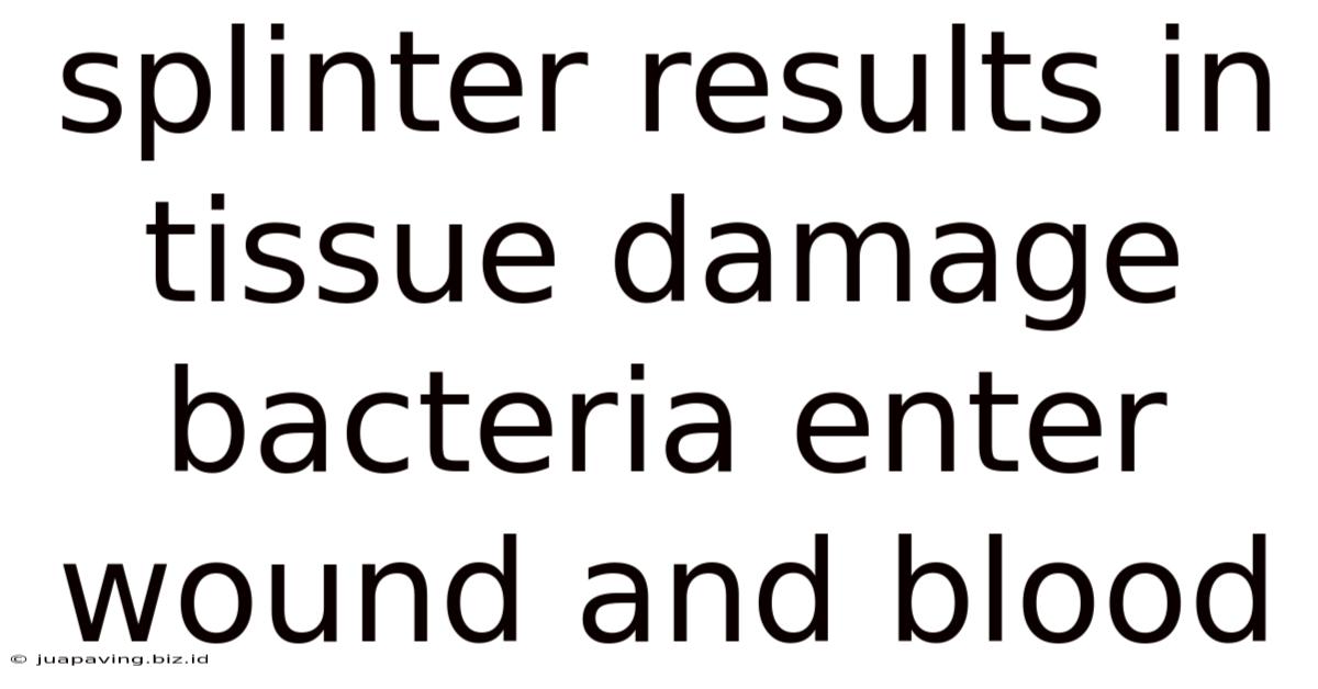 Splinter Results In Tissue Damage Bacteria Enter Wound And Blood