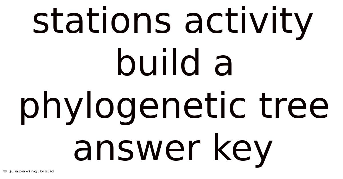 Stations Activity Build A Phylogenetic Tree Answer Key