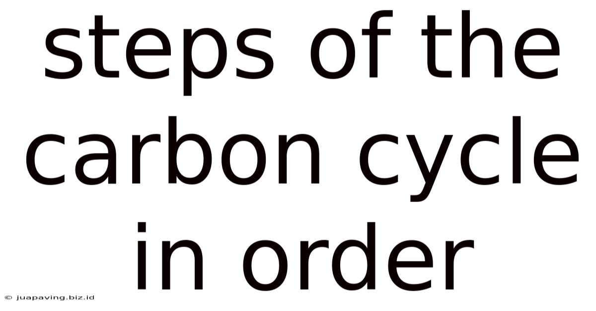 Steps Of The Carbon Cycle In Order