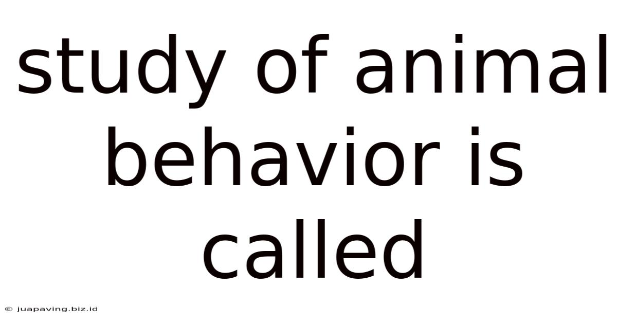 Study Of Animal Behavior Is Called