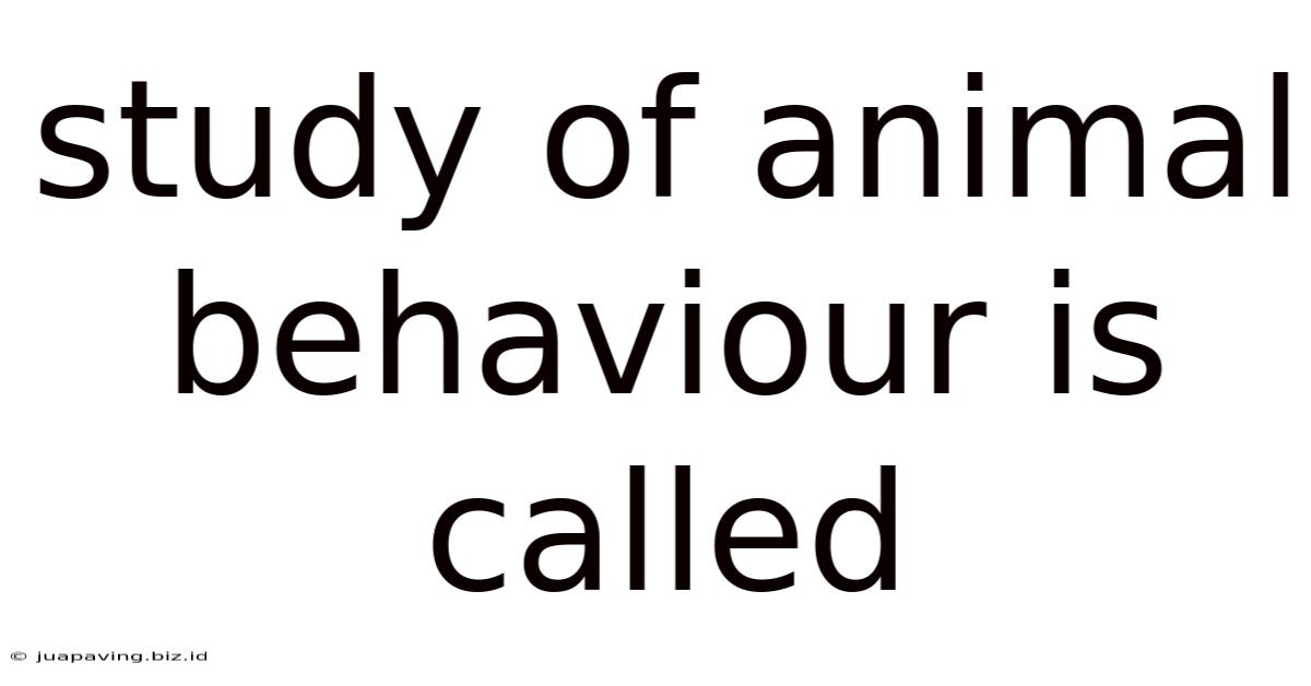 Study Of Animal Behaviour Is Called