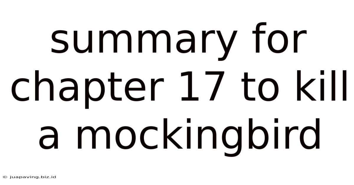 Summary For Chapter 17 To Kill A Mockingbird