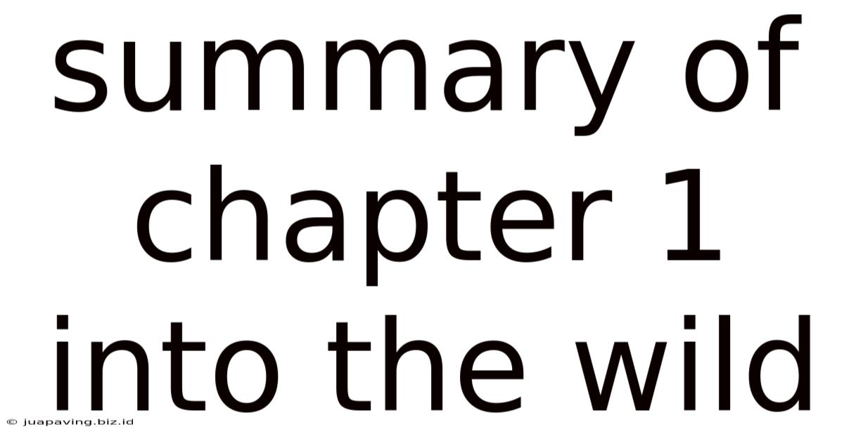 Summary Of Chapter 1 Into The Wild