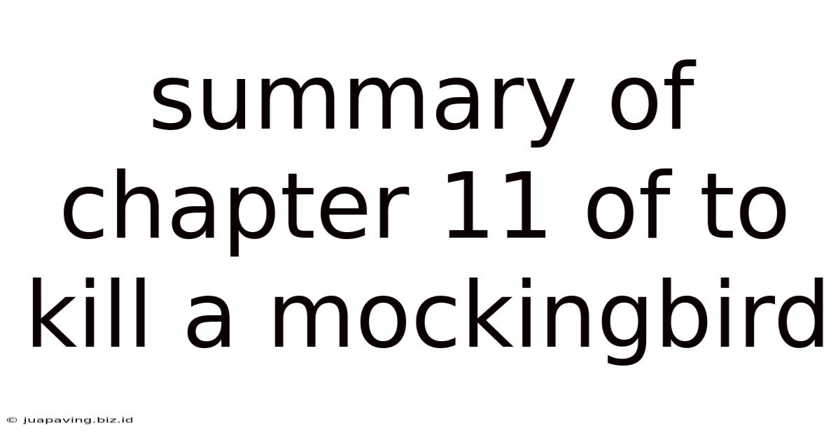Summary Of Chapter 11 Of To Kill A Mockingbird