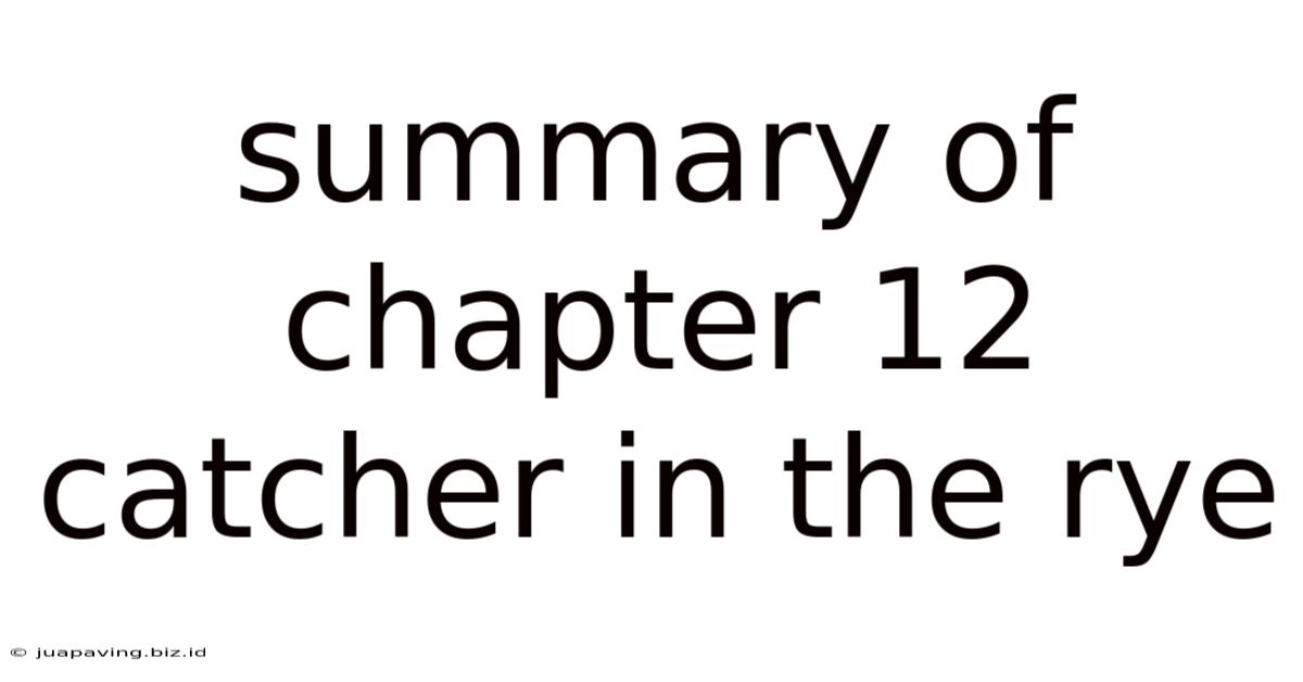 Summary Of Chapter 12 Catcher In The Rye