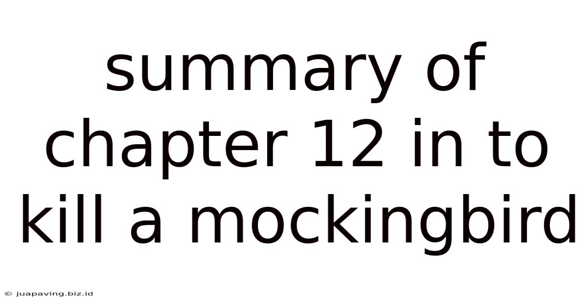 Summary Of Chapter 12 In To Kill A Mockingbird