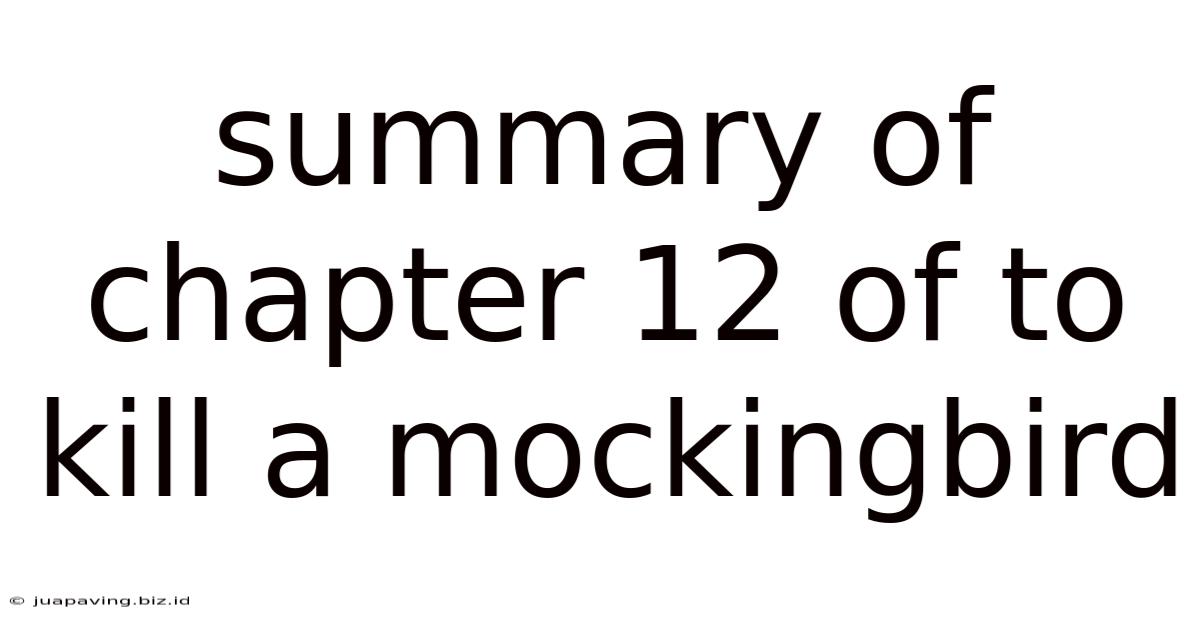 Summary Of Chapter 12 Of To Kill A Mockingbird