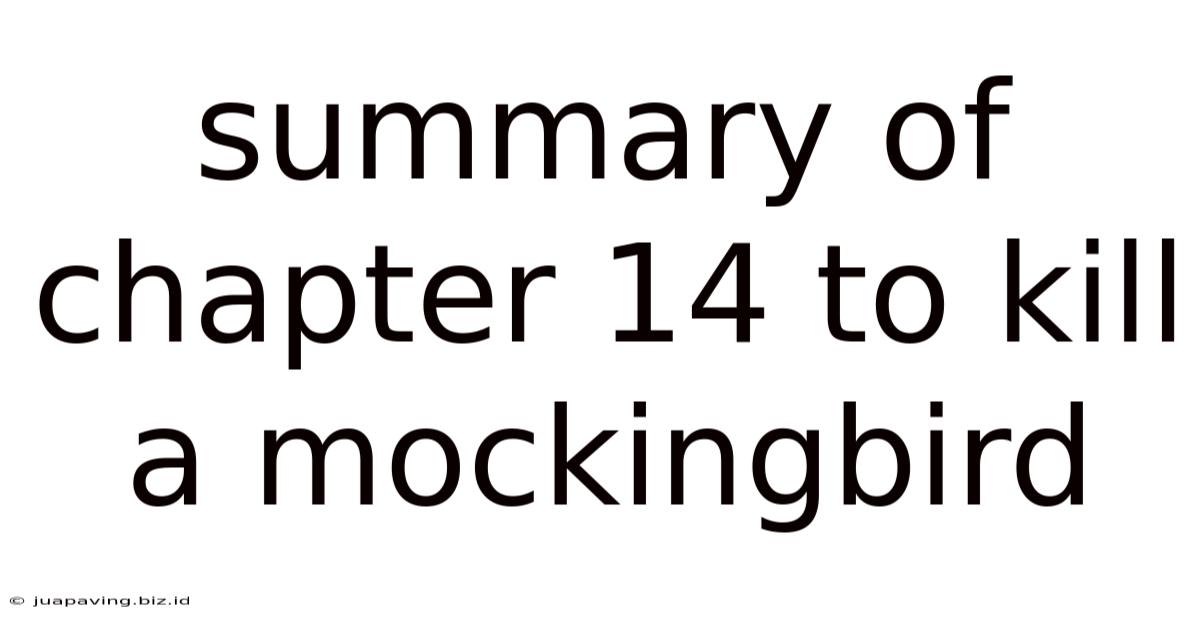 Summary Of Chapter 14 To Kill A Mockingbird