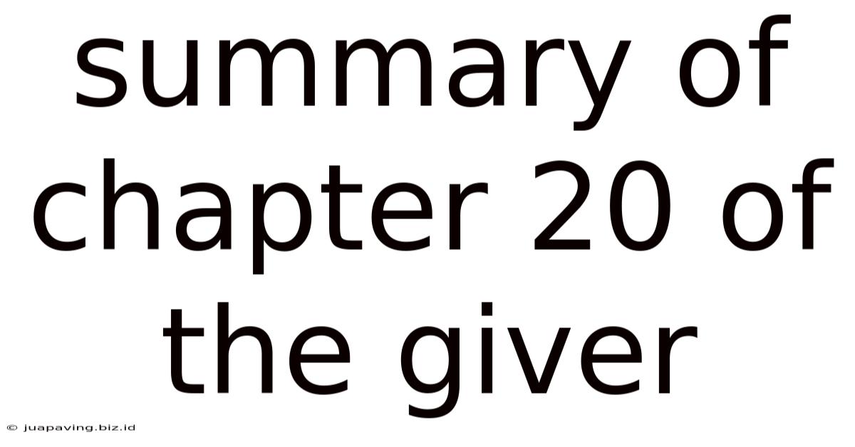 Summary Of Chapter 20 Of The Giver