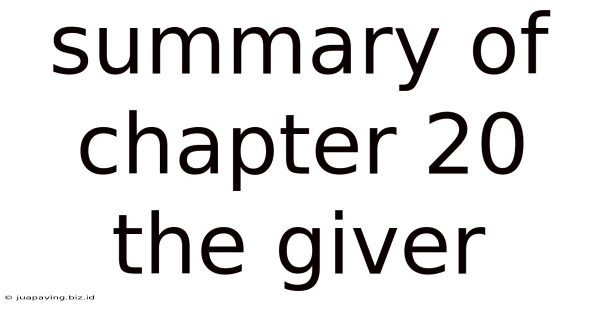 Summary Of Chapter 20 The Giver