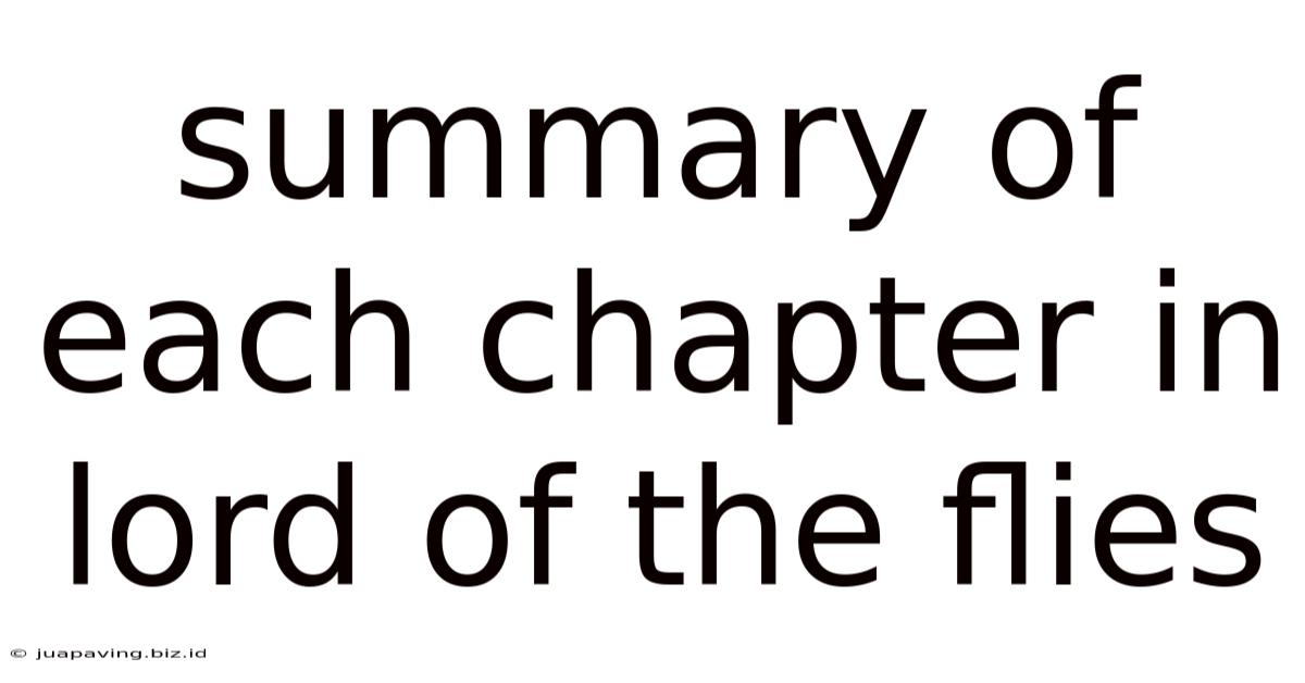 Summary Of Each Chapter In Lord Of The Flies