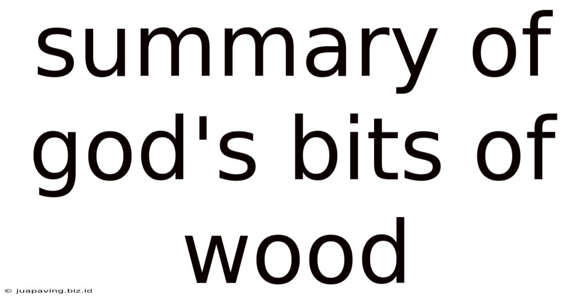 Summary Of God's Bits Of Wood