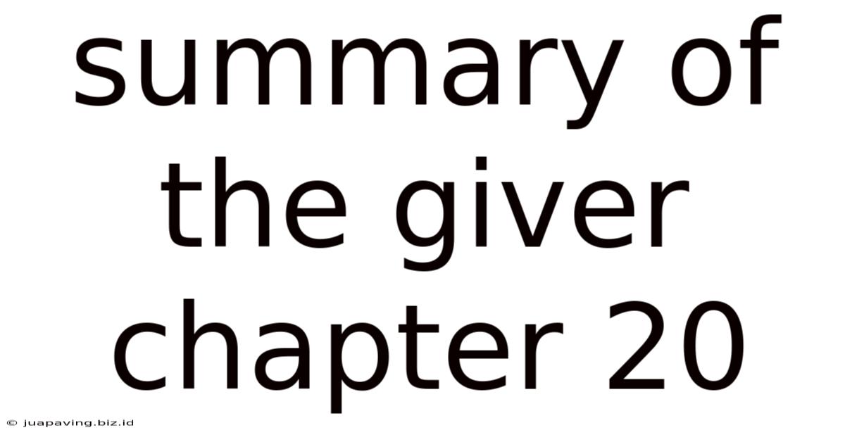 Summary Of The Giver Chapter 20