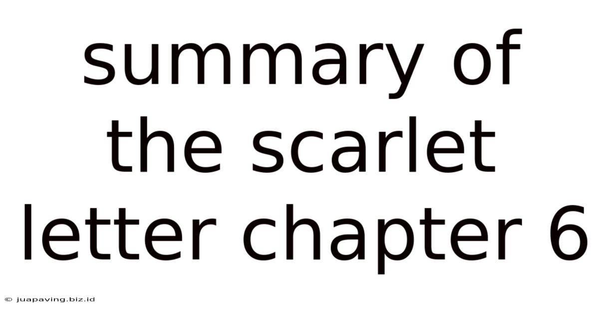 Summary Of The Scarlet Letter Chapter 6