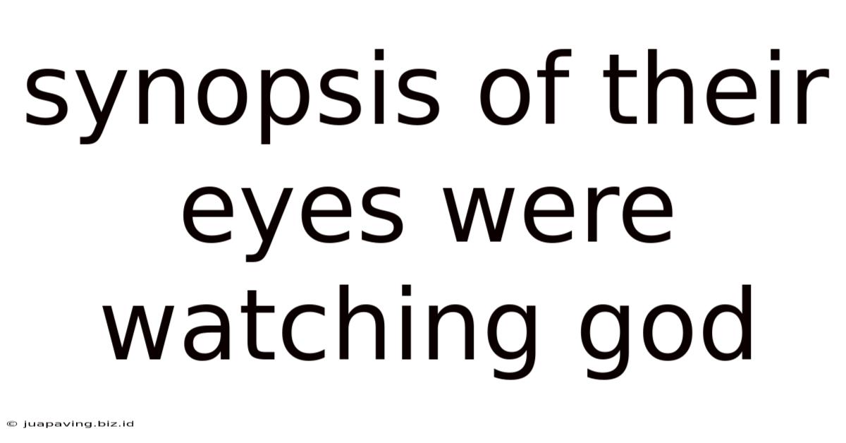 Synopsis Of Their Eyes Were Watching God