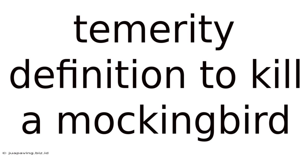 Temerity Definition To Kill A Mockingbird