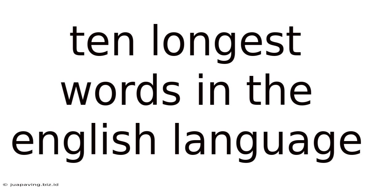 Ten Longest Words In The English Language