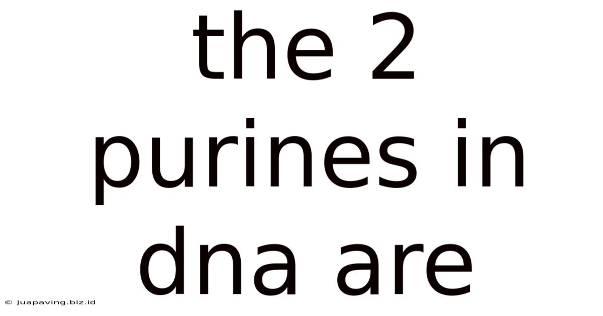 The 2 Purines In Dna Are