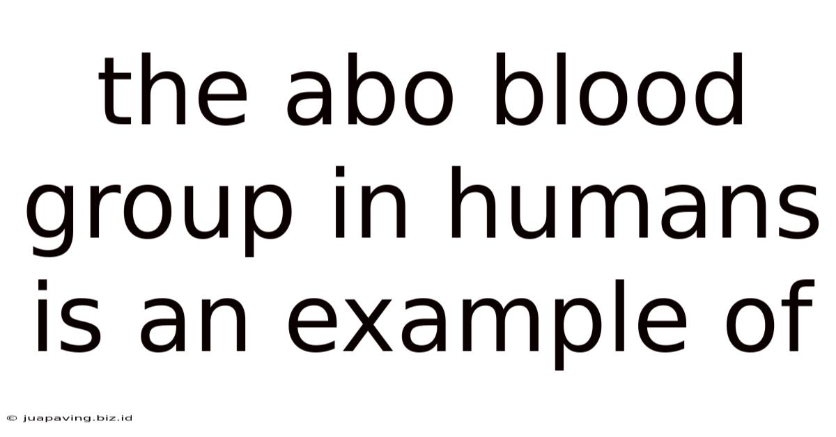 The Abo Blood Group In Humans Is An Example Of