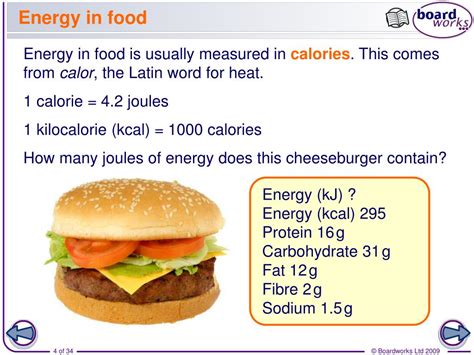 The Amount Of Energy In Food Is Measured In