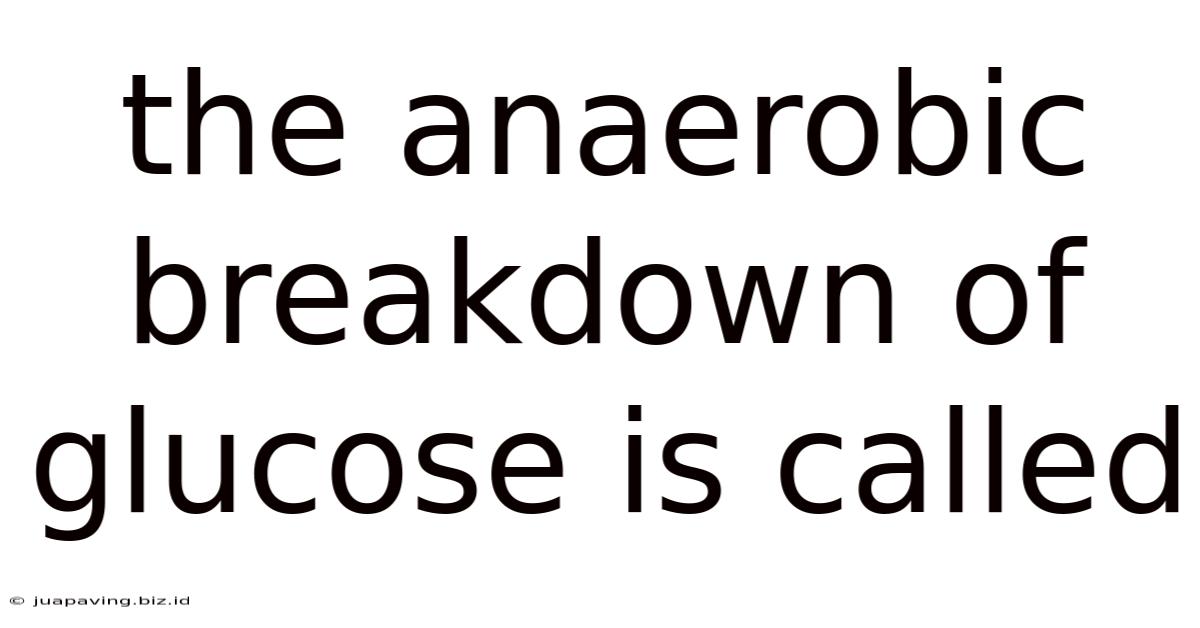 The Anaerobic Breakdown Of Glucose Is Called