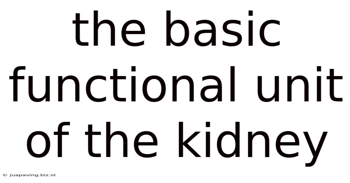 The Basic Functional Unit Of The Kidney