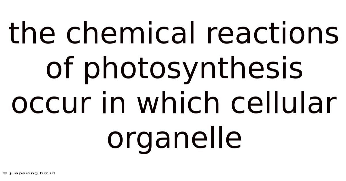 The Chemical Reactions Of Photosynthesis Occur In Which Cellular Organelle
