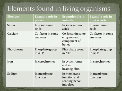 The Chemistry Of Living Organisms Is Called Chemistry