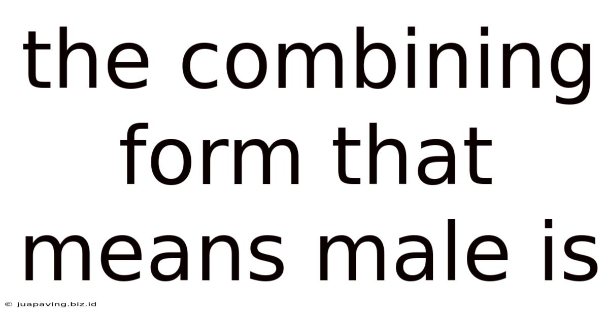 The Combining Form That Means Male Is